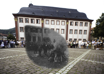 Der Baumstamm schweigt