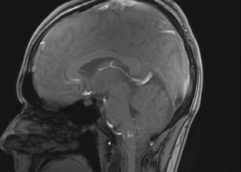 Alles für die Wissenschaft?
