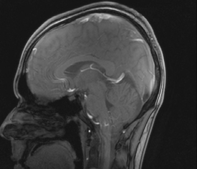 Alles für die Wissenschaft?