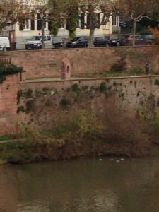 Der Heidelberger Liebesstein ist auch von der anderen Uferseite zu sehen. (Foto: Dominik Waibel)