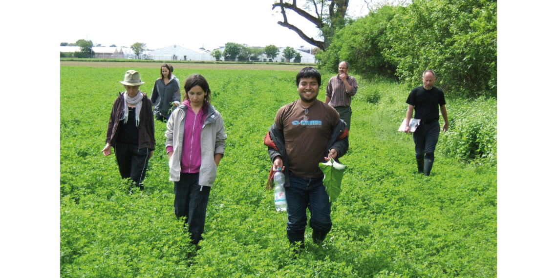 Ungewöhnliche Studentenjobs: Hamsterzählen