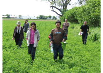 Ungewöhnliche Studentenjobs: Hamsterzählen