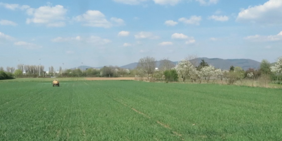 Kirchheim: Die Ländlich-Schöne