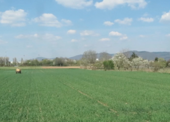 Kirchheim: Die Ländlich-Schöne
