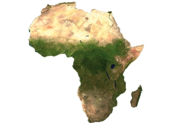 5. Türchen: Afrika im Aufwind