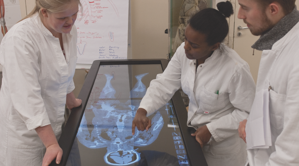 Medizinstudenten sezieren virtuelle Körper