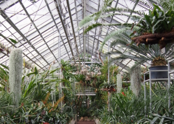 Im Tempel der Pflanzenjäger