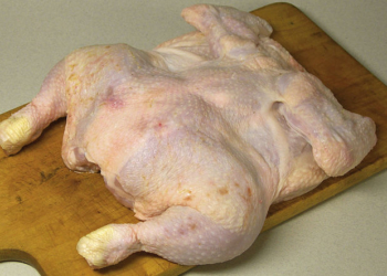 Umfrage: Brauchen wir TTIP?