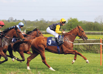 Land der Gegensätze