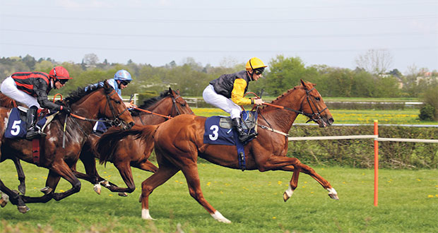 Land der Gegensätze