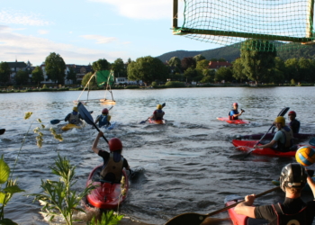 Krokodile statt Pferde