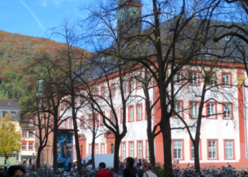 Hochschulwahlen: Wer entscheidet was in welchem Gremium?