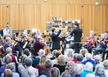 Futter für die Ohren