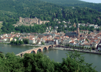 Kein Geld, viel Ruhm