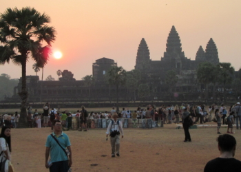 Die Invasion der Elefantenhose