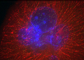 Moleküle mit Potential
