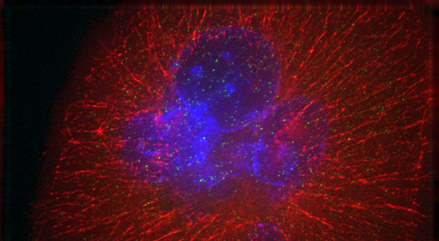 Moleküle mit Potential