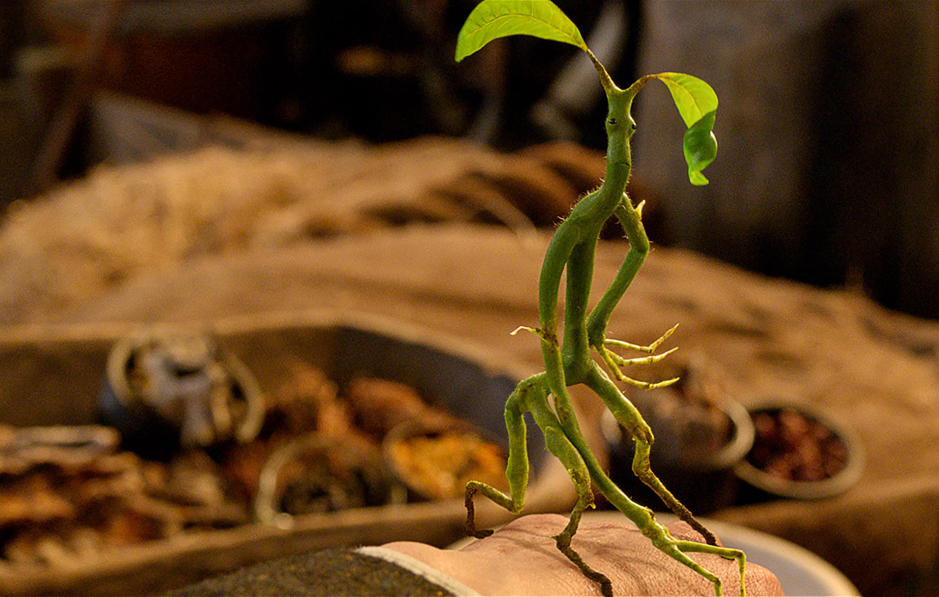 An Englishman in New York