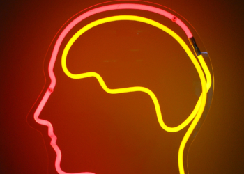 Das elektronische Gehirn