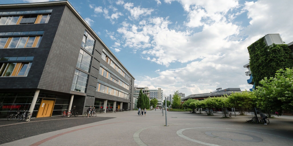 „Masterplan“ für das Feld