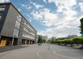 „Masterplan“ für das Feld