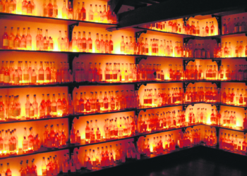 Immer der Zunge nach