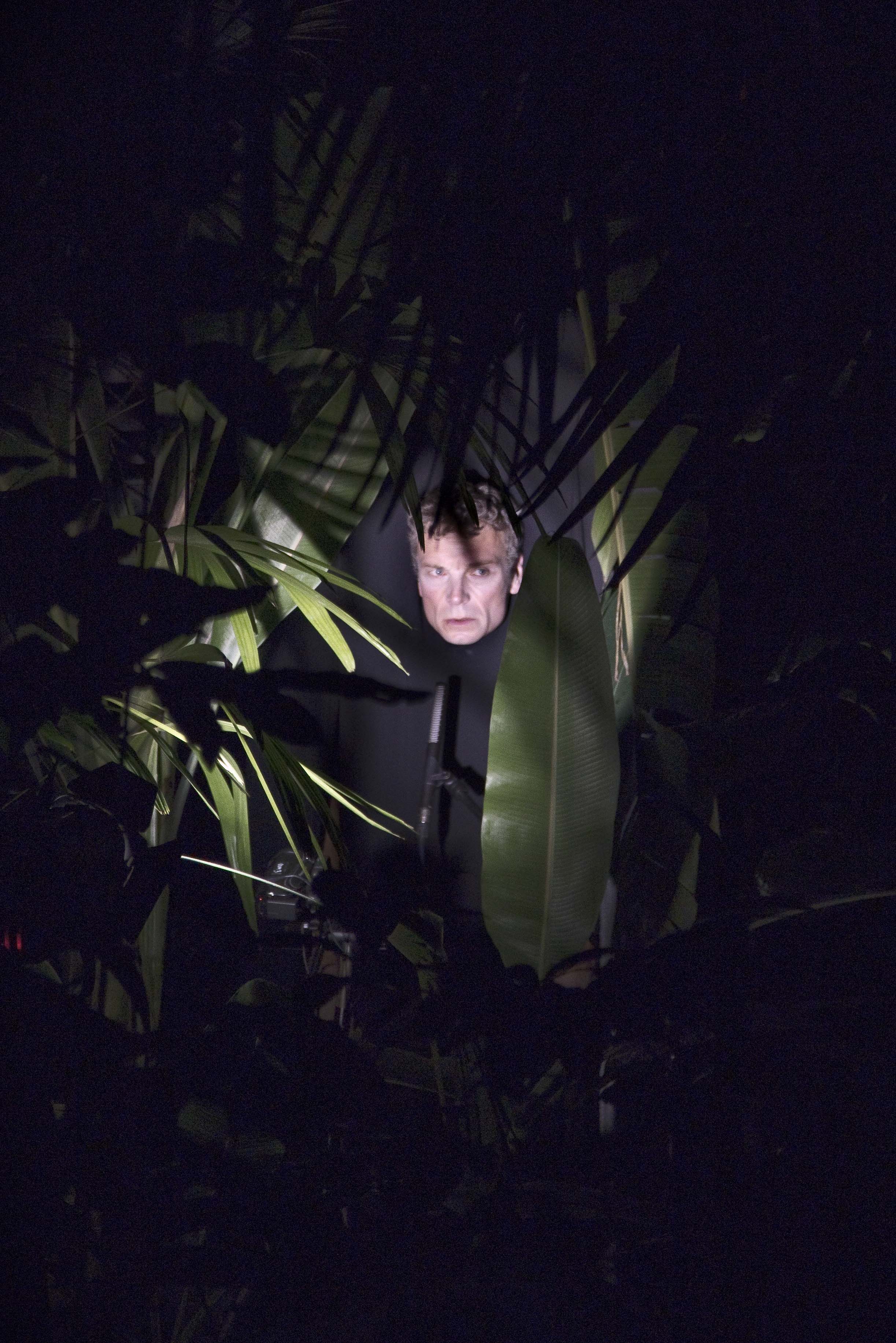 Schauspiel in tropischem Grün