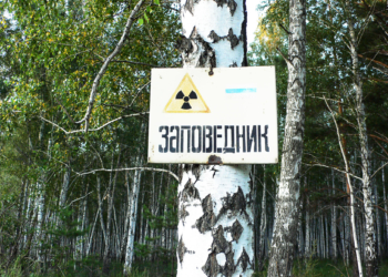 Verschwiegene Katastrophe