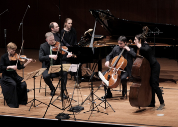 Forelle im Rampenlicht