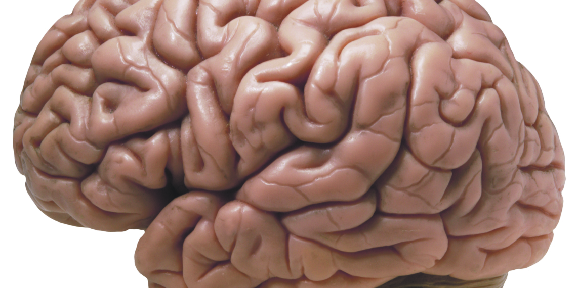 Blut gegen das Vergessen