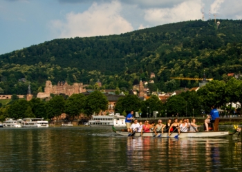 Ein Drache im Neckar