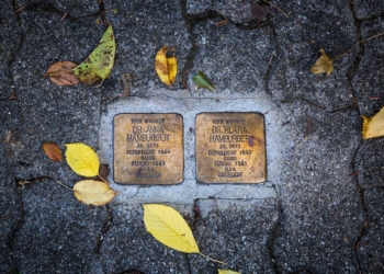 100 Jahre Mitbestimmung