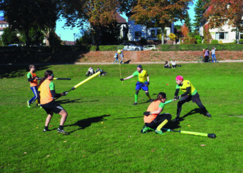 Die Schwimmnudelaffäre