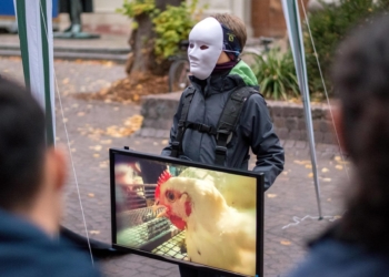 Hinsehen oder Verdrängen