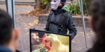 Hinsehen oder Verdrängen