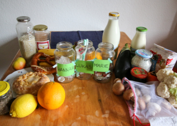 Life in plastic, not fantastic