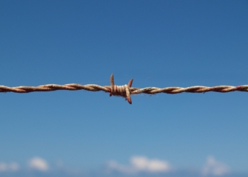 Kein Stern über Malta