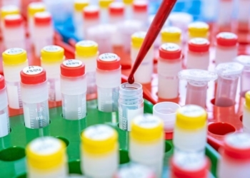 Aufklärung schreitet voran