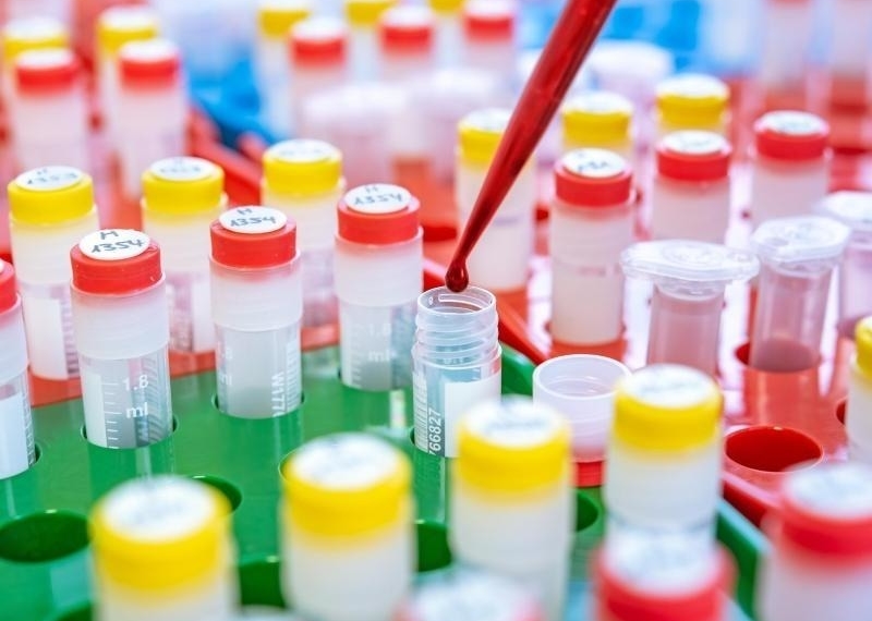 Aufklärung schreitet voran