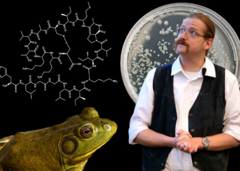 Auf den Frosch gekommen