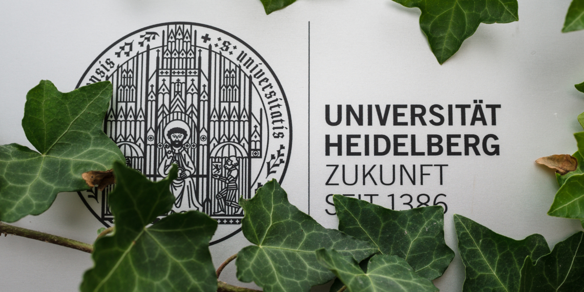 Sturz aus dem Elfenbeinturm