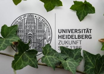 Sturz aus dem Elfenbeinturm