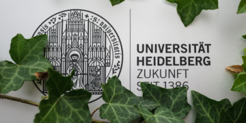 Sturz aus dem Elfenbeinturm