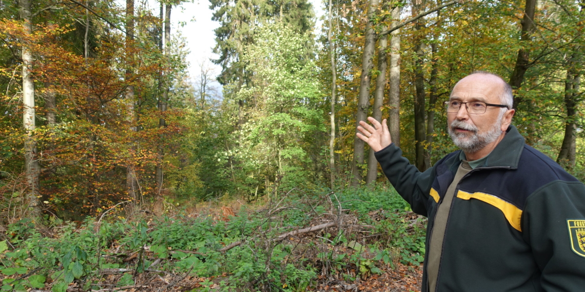 „Wir versuchen gegenzusteuern“