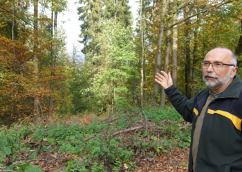 „Wir versuchen gegenzusteuern“