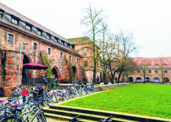 Nachhaltig oder Nestlé?