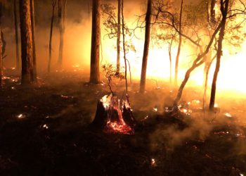 Das Geschäft mit den Genen