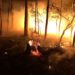 Eine Szene aus den australischen Buschfeuern. Foto: Darryn Jose (Culburra RFS)