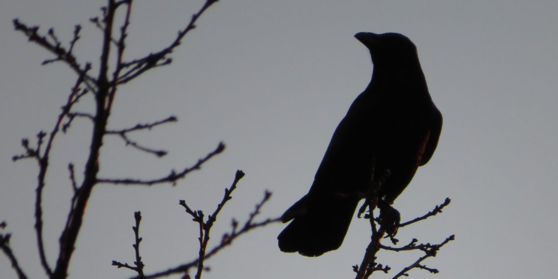 Eine kleine Poesie: Ein Gott