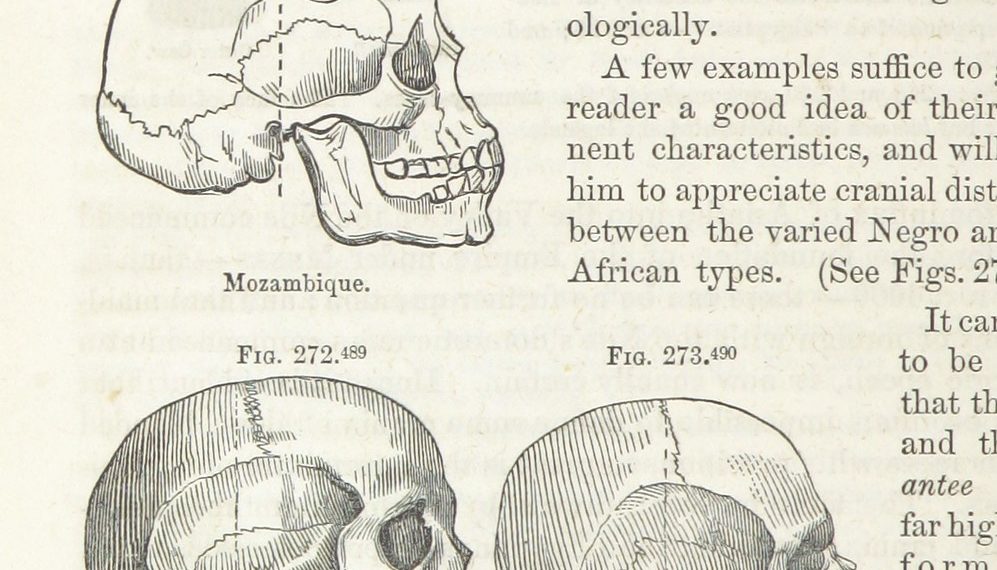 „Forschen“ für Reich und Empire